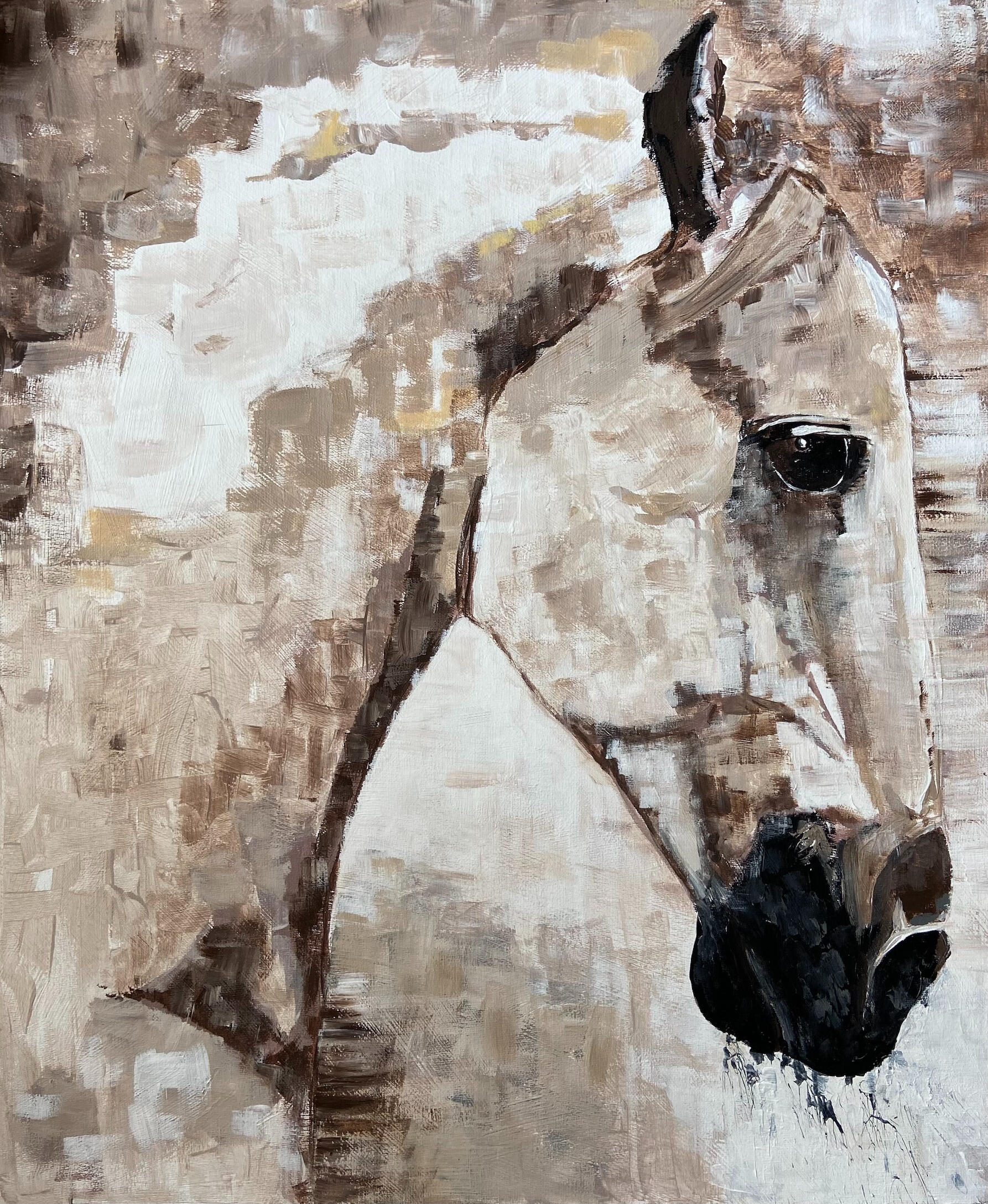 Desert Ghost 40x60cm