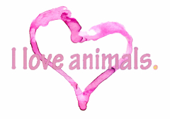 i love animals.